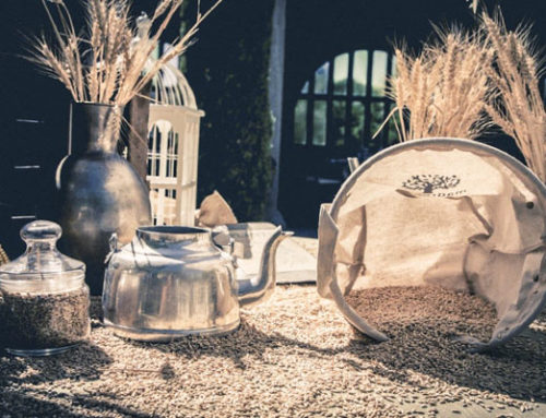Boda de invierno: momentos, detalles e ideas
