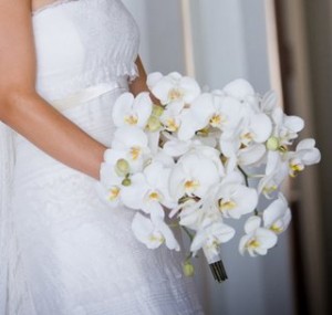 3 vestidos de novia para boda civil según tu silueta - El Laurel Catering