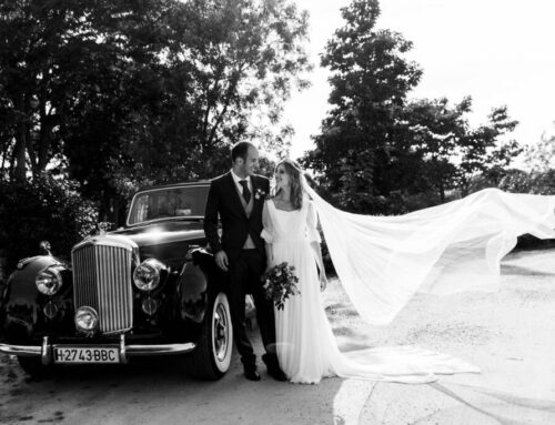 La boda de Raquel y Miguel en El Gasco