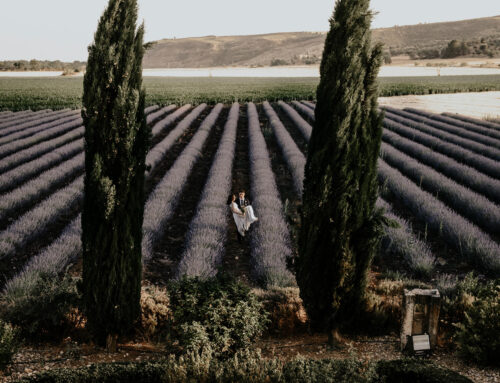 El encanto de las bodas en fincas: Naturaleza y elegancia combinadas