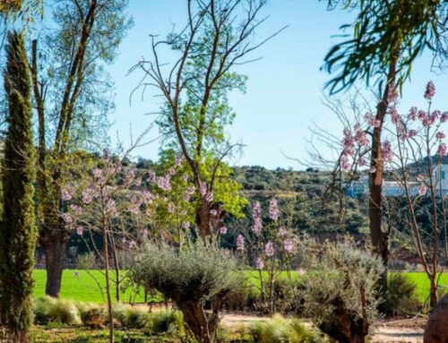 Bodas en la naturaleza en Madrid
