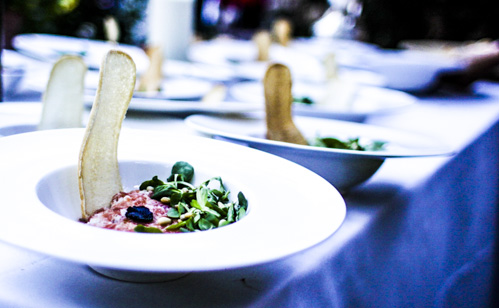 tartar de salmón laurel catering